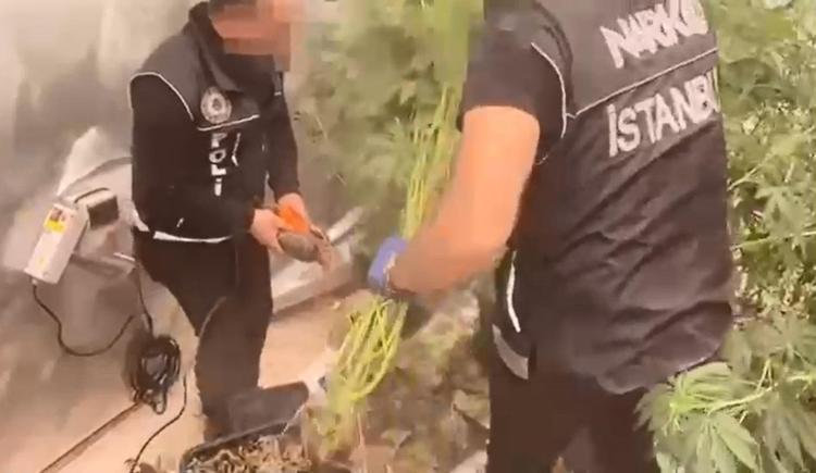 TESİSİN KURULUM MALİYETİ 8 MİLYON TL