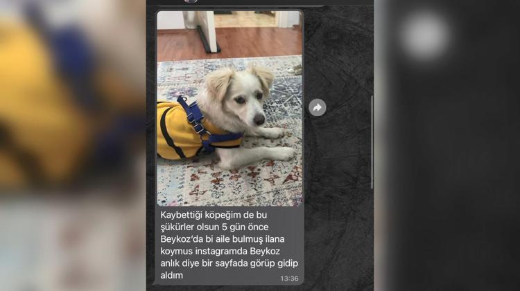 HİÇBİR ŞEKİLDE TELEFON, MESAJ ALAMIYORUZ, CEVAP VERMİYOR