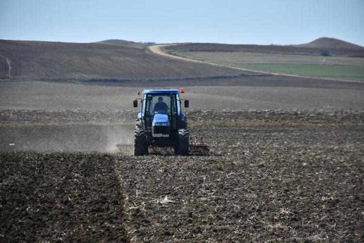 AYÇİÇEĞİNDE FİYATLAR DA DÜŞÜŞTE