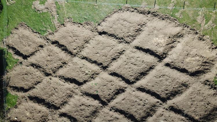 TARIMSAL ÜRÜNLERDE REKOLTE ARTIRICI ETKİSİNE SAHİP