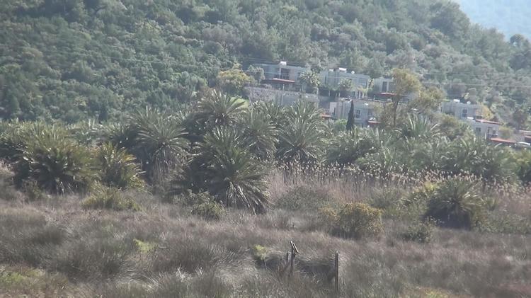 ​ÜST HAVZALARDA KESİNLİKLE YAPILAŞMAYA İZİN VERİLMEMELİ