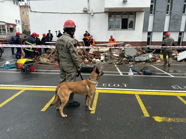 TATBİKATTA K9 KURTARMA KÖPEKLERİ ARAMA YAPTI