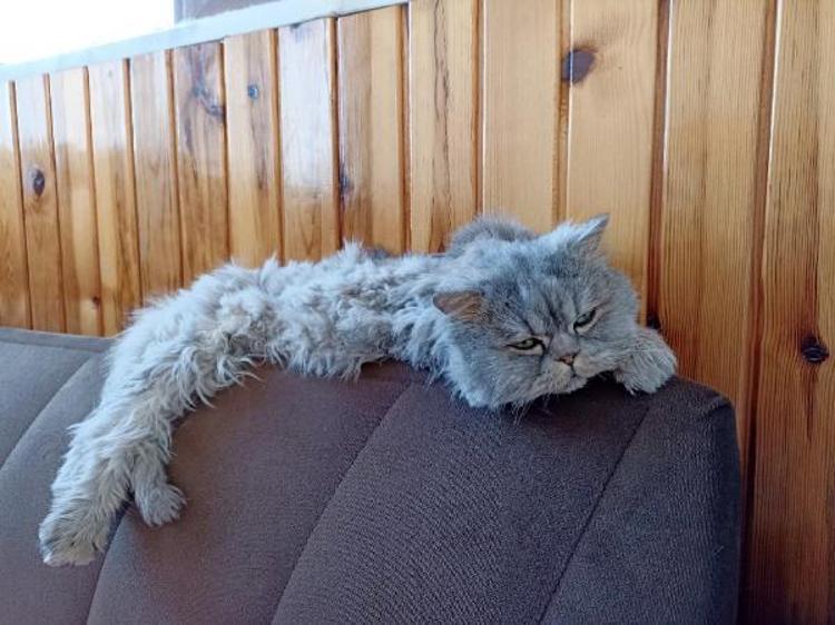 MİLLETİMİZİN, DEVLETİMİZİN BİRLİĞİNİ GÖRDÜK