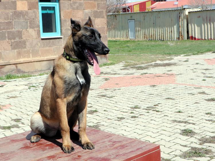 ‘HER GİTTİĞİMİZ GÖREVDE ONU ANMIŞ OLACAĞIZ’