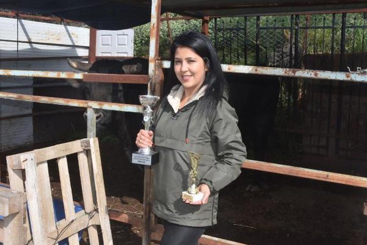 1 TONLUK BOĞA İLE ARENAYA GİRDİĞİMİ GÖRENLER ŞAŞIRIYOR