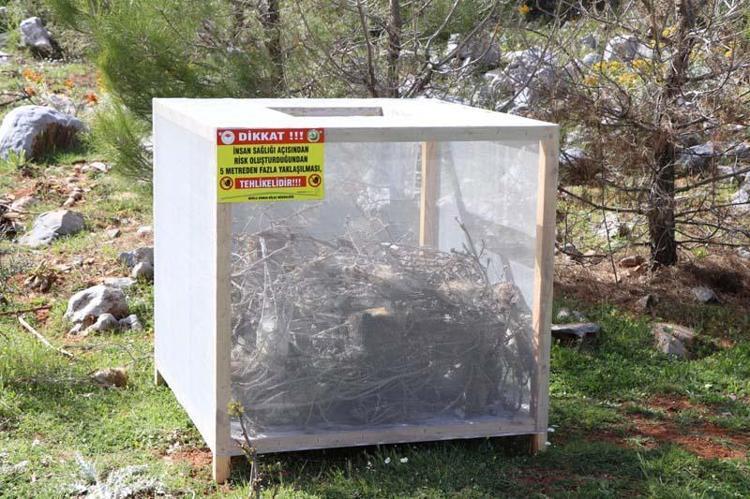 TERMİNATÖR BÖCEKLER GÖREVDE