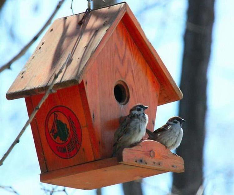 BU AY SORUN BİTİYOR