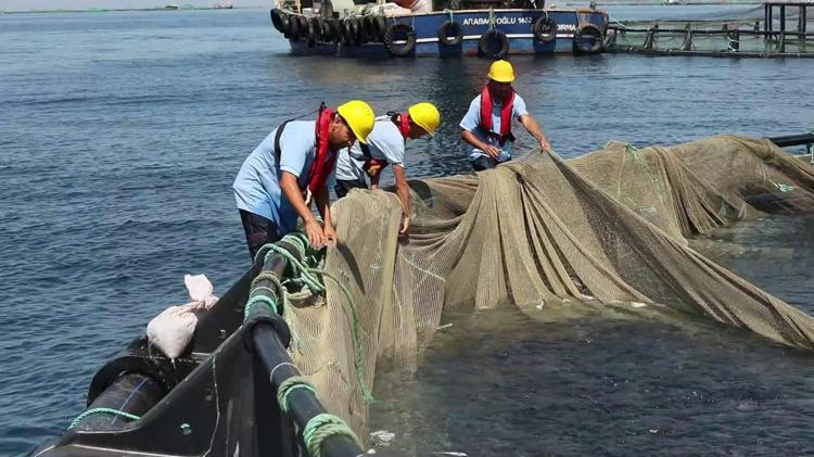 103 ÜLKEYE İHRACAT