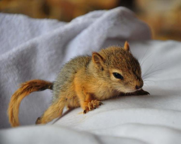 BİBERONLA BAKIYORUM