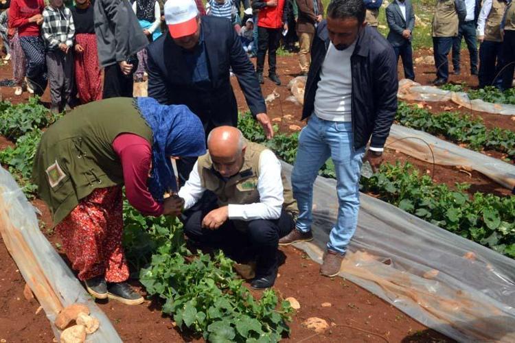 BU ZAMANA KADAR NİYE HİZMET ETMEDİNİZ