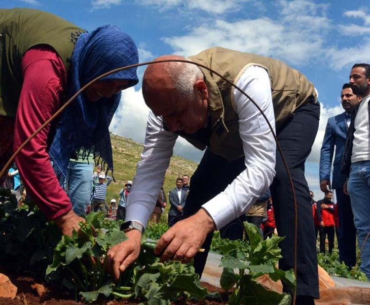 SEN NİYE AVRUPALILARA YÖNÜNÜ DÖNÜYORSUN