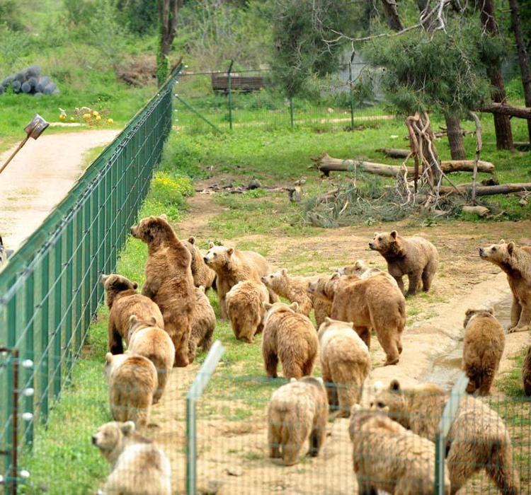 HER GÜN 300 SOMUN EKMEK PİŞİRİLİYOR