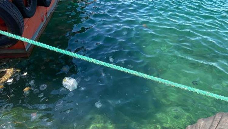 BALIK POPÜLASYONUNUN ZAYIFLAMASI NOKTASINDA ÖNEMLİ ETKİLERİ VAR