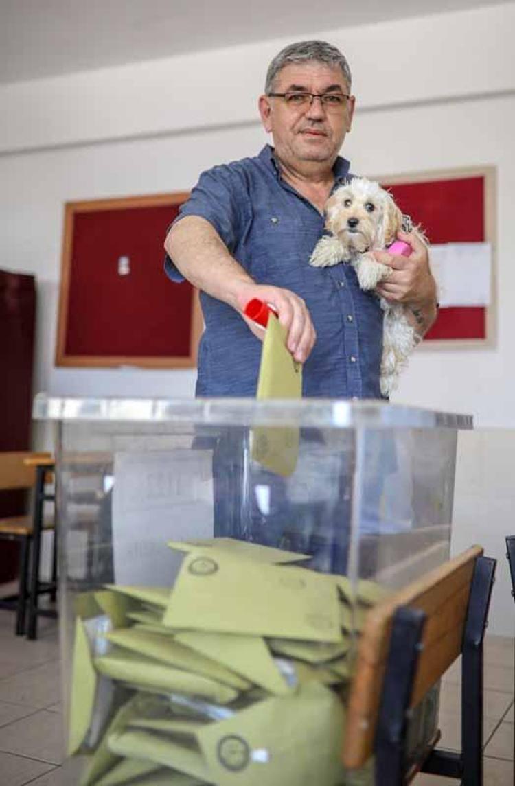 OY KULLANMAYA KÖPEĞİYLE GELDİ