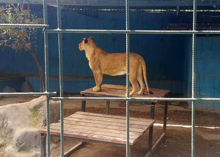 OLAYI DUYUNCA ŞOK OLDUM