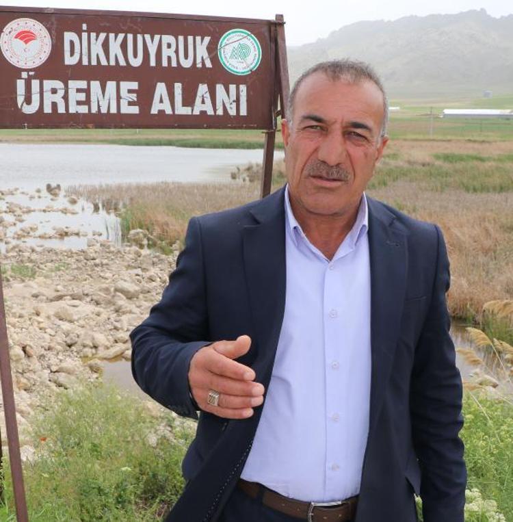 TARLAYI DİKKUYRUKLARIN YAŞAM ALANI YAPTIK