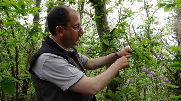 ‘FAYDALI BÖCEKLERİMİZİN ÇIKIŞI DEVAM EDİYOR’