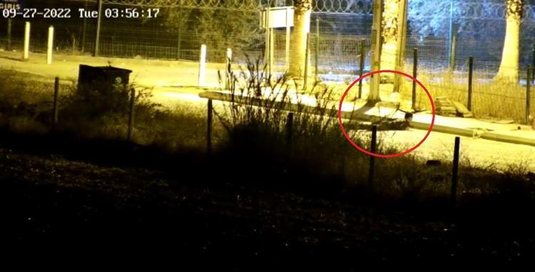 BAHÇENİN İÇİNDEN BİRDEN BİRE İKİ TANE KADIN ÇIKTI