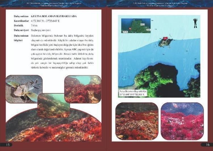 DALIŞ TURİZMİNE UYGUN ALANIN ORDU OLDUĞUNU TESPİT ETTİK