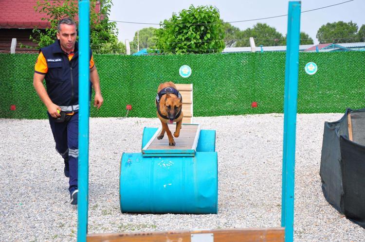 CAN DOSTLARIMIZA SEVGİ VE ŞEFKATLE YAKLAŞIYORUZ