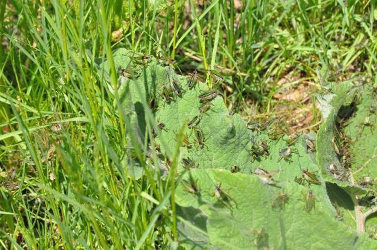 ‘KAPIMIZI, PENCEREMİZİ AÇAMIYORUZ’
