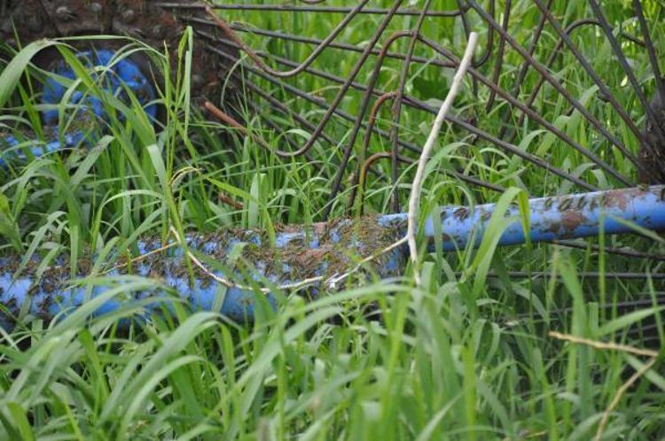 YAĞIŞLAR DURUNCA YENİDEN İLAÇLANACAK