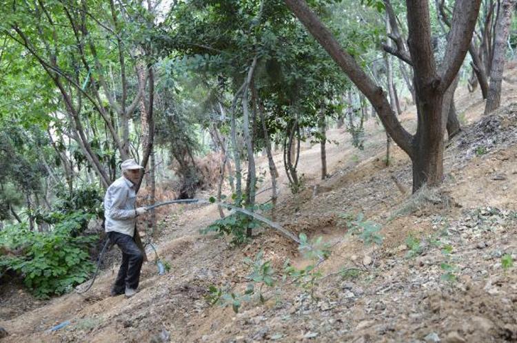 ‘MEMURLUK TEKLİF EDİLDİ KABUL ETMEDİM’