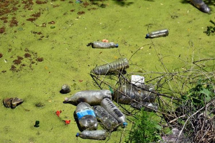 AKŞAM SİNEKTEN OTURAMIYORUZ