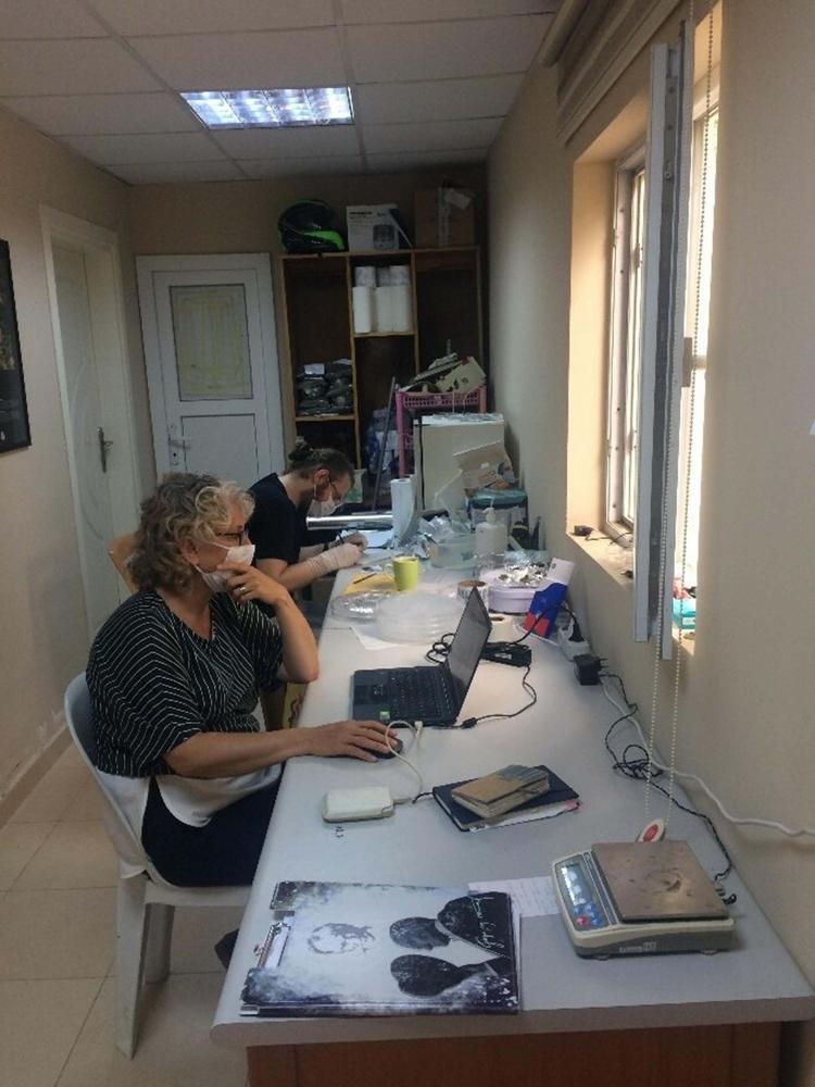 AKDENİZE GENELLENEBİLECEK ÇOK ÖNEMLİ SONUÇLAR ELDE ETTİK