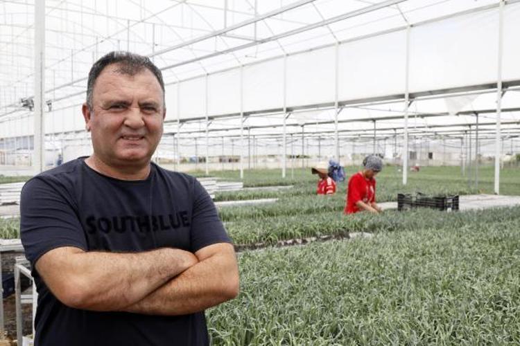 KESME ÇİÇEKLER DÜNYANIN HER NOKTASINA GÖNDERİLİYOR