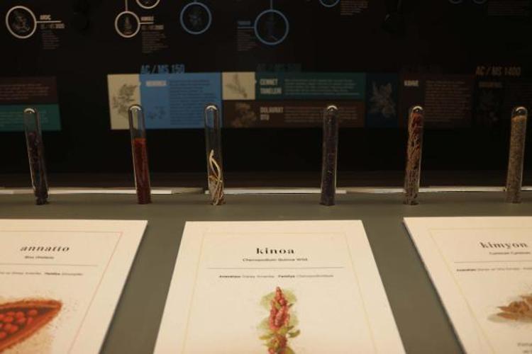 YILLARIN BİRİKİMİ BÖYLE BİR MÜZEYE DÖNÜŞTÜ