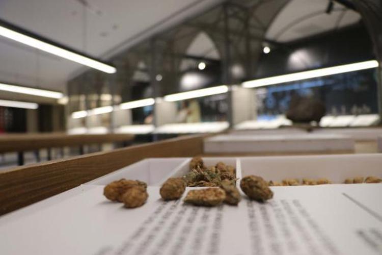 DÜNYADA ÖRNEĞİ YOK