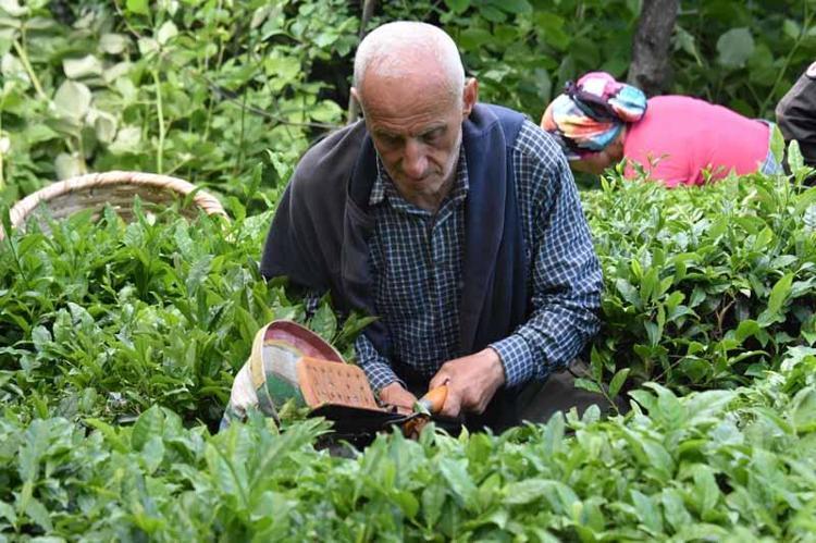 ‘KALİTE OLARAK, TAT OLARAK DAHA İYİ’