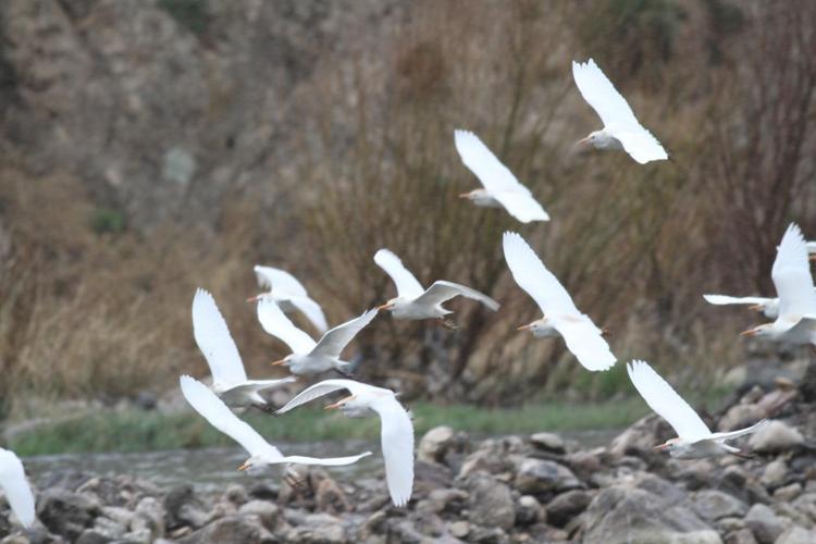 GELECEK RAPOR DOĞRULTUSUNDA ARAŞTIRACAĞIZ