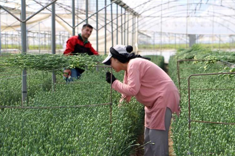 EKONOMİMİZE ÖNEMLİ BİR KATKI SUNUYOR