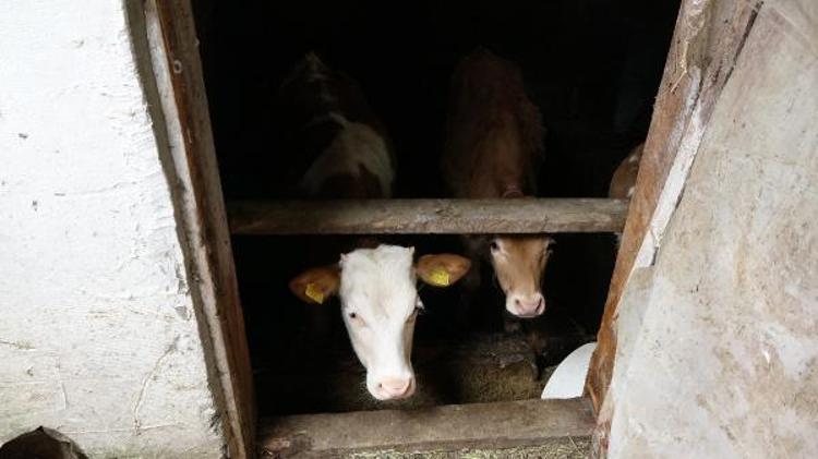 AĞIR SEYREDEN BİR HASTALIK