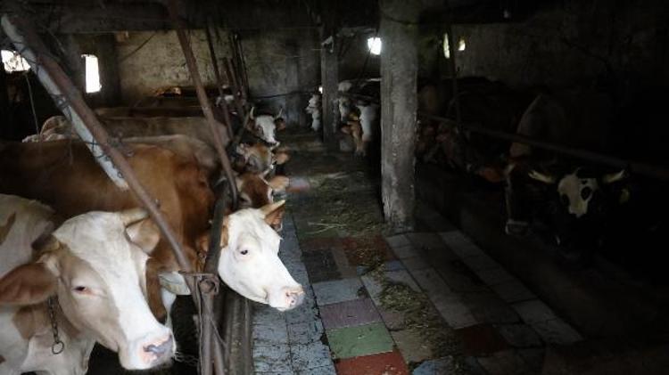 YAYLACILAR 9 TEMMUZU BEKLEYECEK