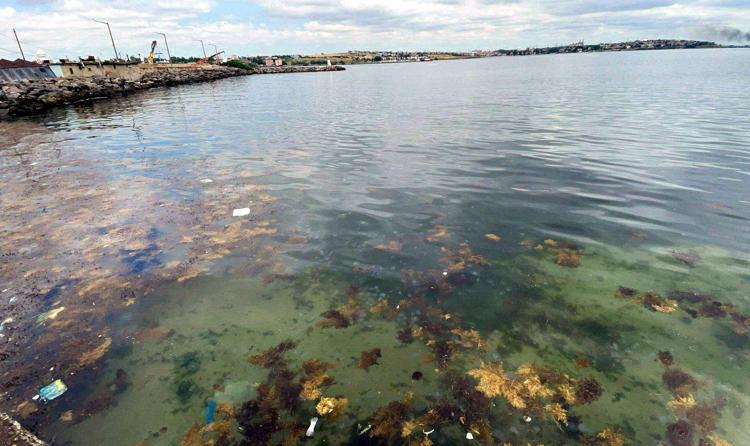 DENİZ SUYU SICAKLIKLARININ ARTMASI DA BİR ETKEN