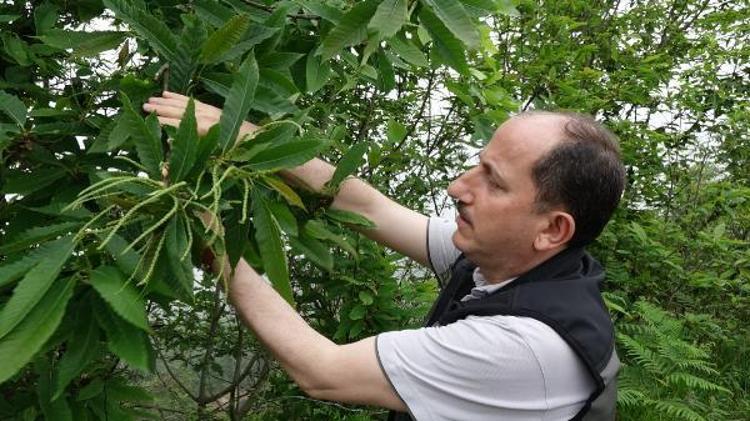 BİYOLOJİK MÜCADELEYE BİYOTEKNİK TAKVİYE