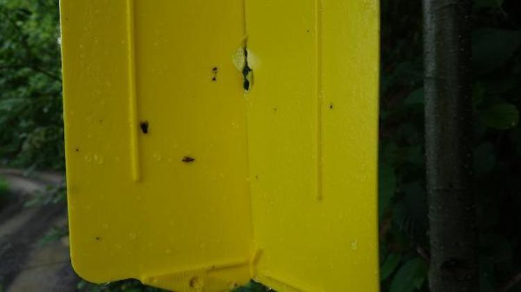 ‘MÜCADELEMİZ YOĞUN ŞEKİLDE SÜRECEK’