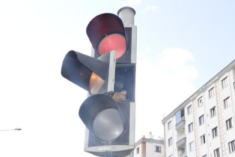 ‘BÜTÜN HAYVANLARA DİKKAT EDİLMESİ VE ÖZEN GÖSTERİLMESİ LAZIM’