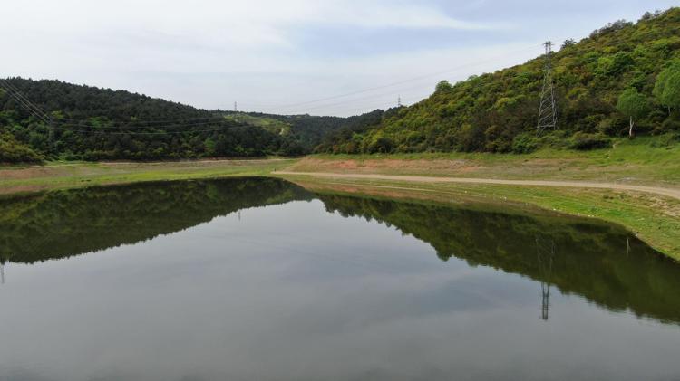 ALİBEYKÖY BARAJINDA BİR ÇOK ALANDA KEÇİLER VE KOYUNLAR OTLUYOR