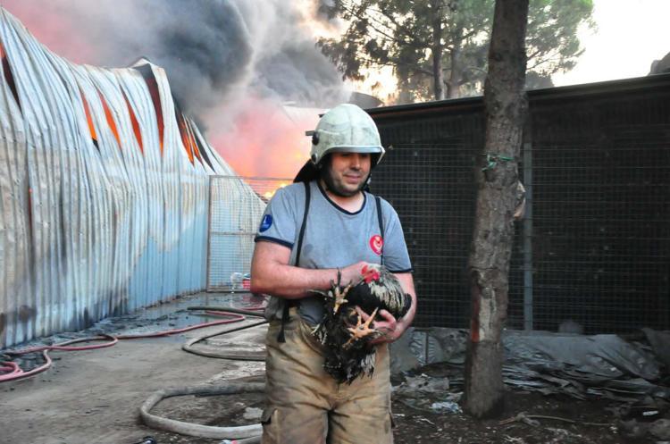 NEDENİ HENÜZ BELİRLENMEDİ