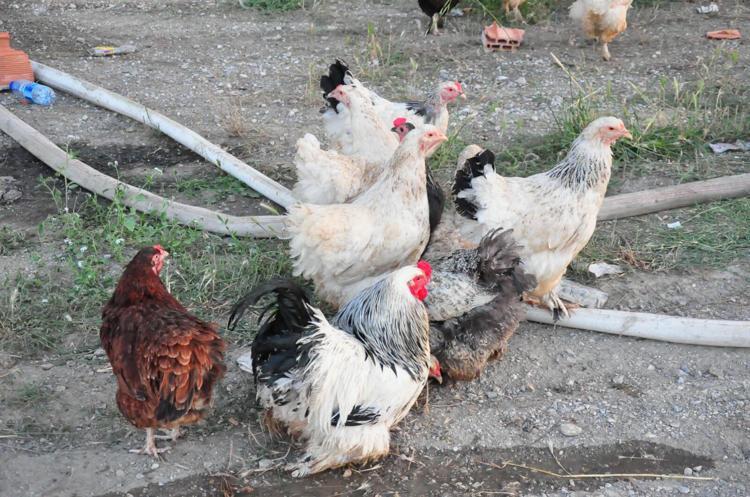 YANGIN KONTROL ALTINDA