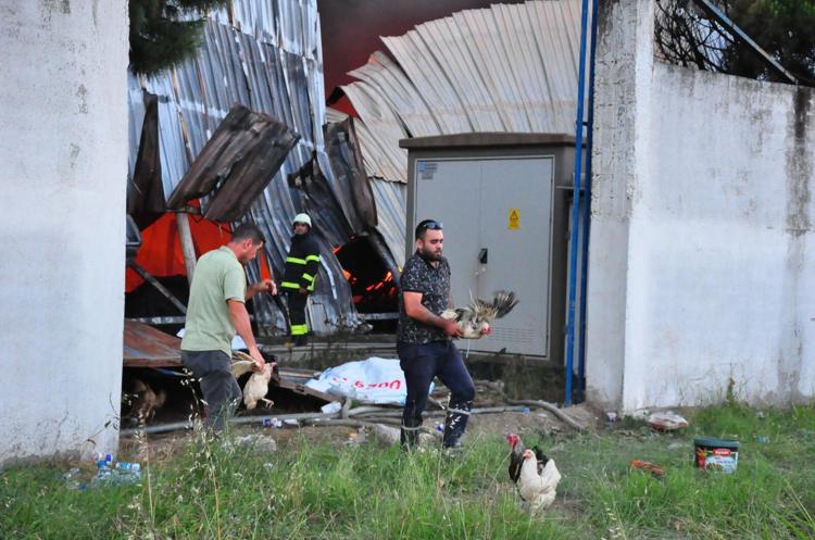 AYNI FİRMAYA AİT İKİ İŞLETMEYE TOPLAM 7 MİLYON 330 BİN 578 TL CEZA UYGULANDI