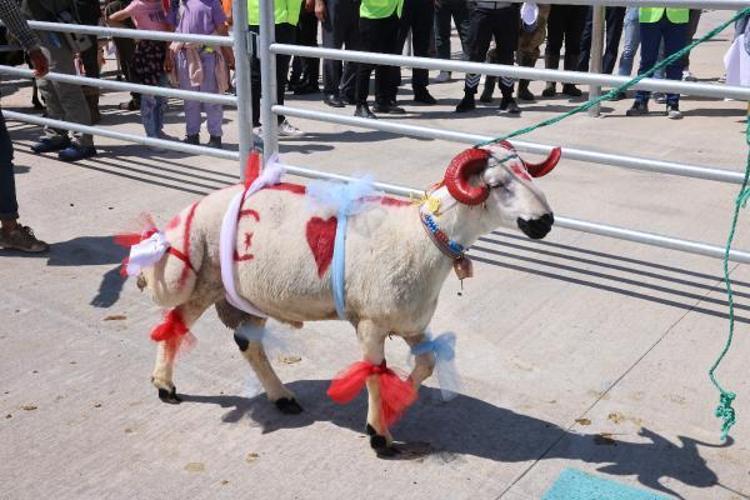 KRALA KÜÇÜKKEN EVDE BAKTIM