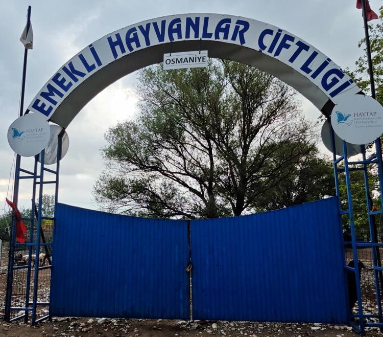 AĞAÇLARI TOPRAKLA BULUŞTURDUK