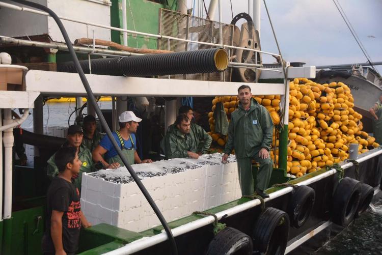 ‘MÜSİLAJ DENİZ EKOSİSTEMİNİN YANGINI GİBİ’