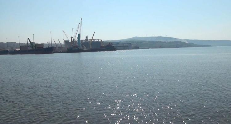 ‘BALIK TÜRLERİNİ MÜSİLAJ ÖNCESİ VE SONRASI DİYE AYIRMAMIZ LAZIM’