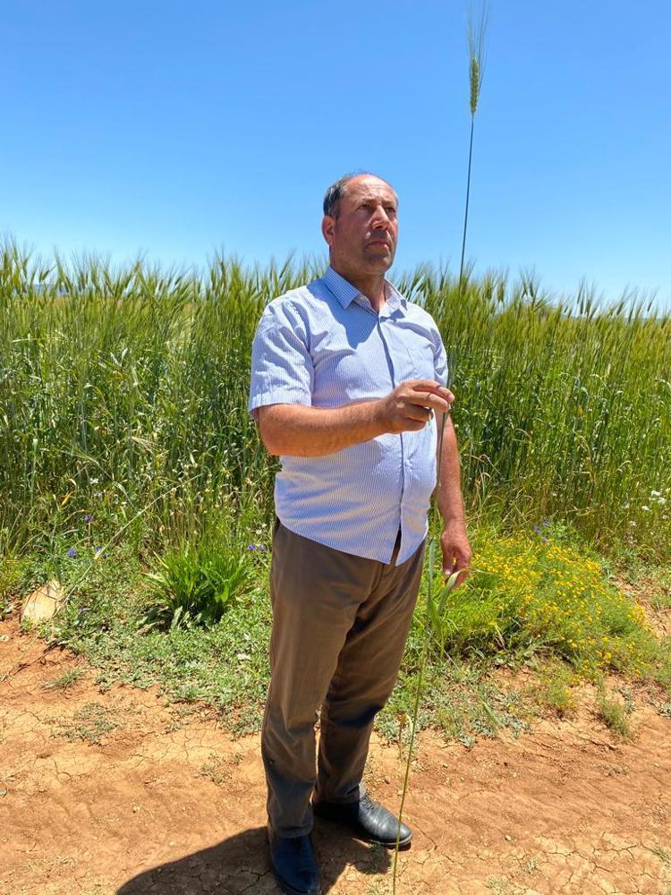 ‘YAĞIŞLI DÖNEMDE BOYU 180 SANTİMETREYİ BULDU’